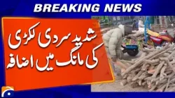 Extreme Cold in Ghotki Sparks High Demand for Firewood | Geo News Extreme Cold in Ghotki Sparks High Demand for Firewood | Geo News
