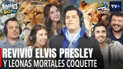 Las Noches de Porcel TV | 08 de enero de 2026