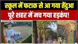 स्कूल में आ गया तेंदुआ... शहर में हड़कंप मचा | Ghaziabad | Uttar Pradesh | Viral Video स्कूल में आ गया तेंदुआ... शहर में हड़कंप मचा | Ghaziabad | Uttar Pradesh | Viral Video