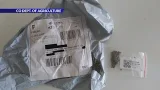 Warnings issued about unsolicited seeds sent in mail