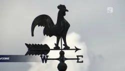 TV KANAL 9, NOVI SAD: IGRA SA VETROKAZIMA U MUZEJU VOJVODINE