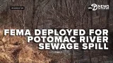 Trump orders federal response after Potomac sewer collapse spills raw sewage