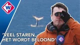 Bultrug gespot voor de kust, we gaan op zoek! Bultrug gespot voor de kust, we gaan op zoek!