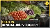 The Hidden Cost of Clean Eating | WION News