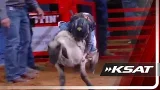 Child, sheep take quick fall at San Antonio Stock Show & Rodeo's Mutton Bustin' contest