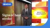 What are the signs of heat stroke? | ABC NEWS
