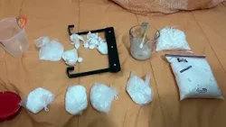 Trafik kokaine me lëkurë gjedhi/ SPAK mbyll hetimet, dërgon në gjyq 10 të pandehur