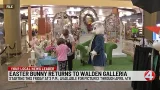 Easter Bunny returns to Walden Galleria Easter Bunny returns to Walden Galleria