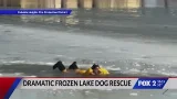 Fire crews rescue dog that fell into partial frozen lake
