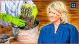 Shop Garden Essentials with Martha Stewart | QVC
