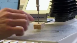 Proteínas cultivadas en laboratorio para un mundo hambriento: hechas en Europa