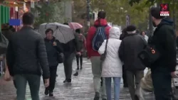 Fertilizarea in virto