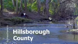 #FindHillsborough - Moriczville Area