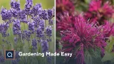 Gardening Made Easy by Cottage Farms | QVC