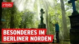 30 Orte, die Berlin-Reinickendorf besonders machen | Berlin erleben | Reportage