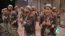 EL MIRADOR CARNAVAL 17 01 26 ONDA CADIZ TV