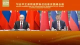 Entretien virtuel entre Xi Jinping et Vladimir Poutine
