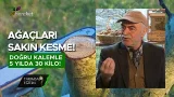 Çeşit Değiştirirken Neden Başarısız Oluyoruz? 40 Yıllık Ceviz Uzmanından Altın Tüyolar