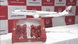 JALグループ 国とタッグ組み輸出促進へ 日本産農産物のプレミアムブランド化目指す(2026年2月16日) JALグループ 国とタッグ組み輸出促進へ 日本産農産物のプレミアムブランド化目指す(2026年2月16日)