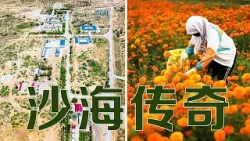 这是中国唯一被两大沙漠三面包围的西部城市，曾被预言会成为第二个“死亡之海”，如今怎么样了？| LIVE NOW
