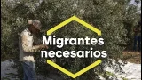 La regularización masiva de migrantes, una medida celebrada por varios sectores - laSexta Noticias