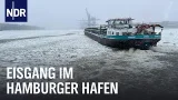 Eiszeit auf der Elbe: Von Schleppern, Eisbrechern und Barkassen | Die Nordreportage | NDR Doku Eiszeit auf der Elbe: Von Schleppern, Eisbrechern und Barkassen | Die Nordreportage | NDR Doku
