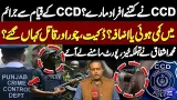 CCD Exposed! How Many Lives Lost? Crime Reduced or Increased? | Dunya News