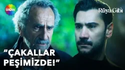 ''Sana neyi hatırlattığını biliyorum!'' | Rüya Gibi 5. Bölüm