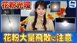 【花粉大量飛散】魔のサークル「花粉光環」が出現　明日も花粉飛散に要注意
