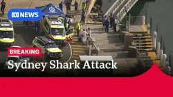 Boy critical after shark attack in Vaucluse, Sydney | ABC NEWS Boy critical after shark attack in Vaucluse, Sydney | ABC NEWS