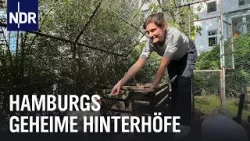 Hamburg: Einblick in 20 Hinterhöfe | die nordstory | NDR Doku