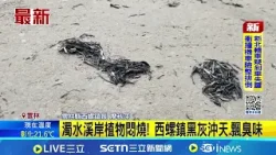 濁水溪岸植物悶燒! 西螺鎮黑灰沖天.飄臭味│ 記者 賴一銀 廖宜德 范誠庭│新聞一把抓20260118│三立新聞台