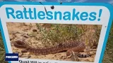Rattlesnake encounters increase as warmer weather brings more snakes to surface | FOX 11 LA