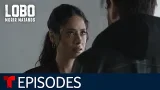 Lobo Morir Matando: Titulo | Episode 6 | Telemundo English Lobo Morir Matando: Titulo | Episode 6 | Telemundo English