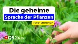 Urtinkturen & Wildkräuter: Ihr Naturheilkundelexikon für 300 Beschwerden | Naturmedizin | QS24