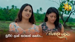 චූටිට දැන් තරහත් යනවා...