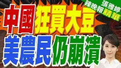 中國已買800萬噸美國大豆！美農民卻「笑不出來」揭背後原因｜郭正亮.蔡正元.張延廷深度剖析?【張雅婷辣晚報】精華版 @中天新聞CtiNews