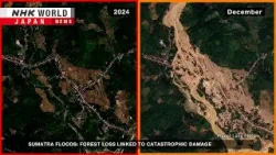 Sumatra floods: Forest loss linked to catastrophic damageーNHK WORLD-JAPAN NEWS