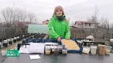 “Banca de semințe” din… gospodarie 05 03 2026