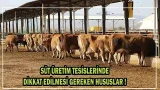 Süt Üretim Tesislerinde Dikkat Edilmesi Gereken Hususlar !