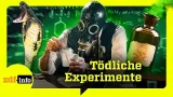 Sterben für Gegengift: Diese Wissenschaftler opferten sich | ZDFinfo Doku Sterben für Gegengift: Diese Wissenschaftler opferten sich | ZDFinfo Doku