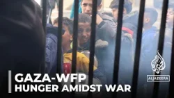 UN World Food Programme agency: ‘Everyone in Gaza is hungry’