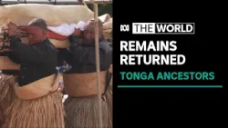 Remains of ancestors returned to Tonga | The World