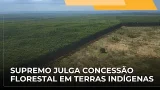JJ – STF julga ação sobre concessão florestal de terras indígenas e quilombolas à iniciativa privada