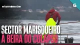 ?️ O sector MARISQUEIRO á beira do COLAPSO | O TERMÓMETRO ?️ O sector MARISQUEIRO á beira do COLAPSO | O TERMÓMETRO