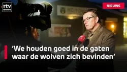 Er komt extra toezicht bij de basisschool in Ruinen nadat er er wolf langs liep | RTV Drenthe