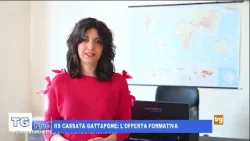 IIS Cassata Gattapone: l'offerta formativa