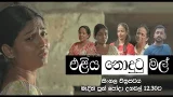 Eliya Nodutu Mal (එළිය නොදුටු මල්) සිංහල චිත්‍රපටය | මැදින් පුන් පොහෝ දා දහවල් 12.30ට | TV Derana