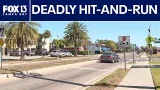 Deadly hit-and-run suspect identified