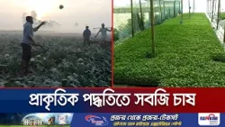 কুড়িগ্রামে প্রাকৃতিক পদ্ধতিতে বাড়ছে সবজির চাষ; লাভবান কৃষকরা | Kurigram | Agriculture | Jamuna TV